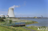 Doel nuclear powerplant