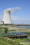 Doel nuclear powerplant