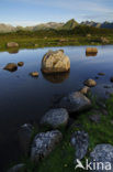 Lofoten eilanden