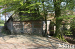 Molen van Bels