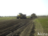 Nationaal Park Dwingelderveld