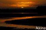 National Park Lauwersmeer