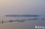 Nationaal Park Lauwersmeer