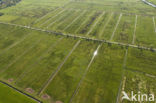 Natuurgebied Oude Riet