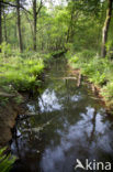North Brabant