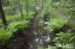 Noord-Brabant