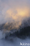 Parc national de La Vanoise