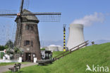 Scheldedijkmolen