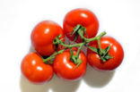 Tomato (Solanum lycopersicum)