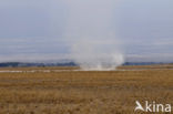 Amboseli National Park