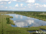 Fochteloërveen