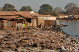 Gambia