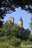 Kasteel Bourscheid