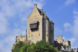 Castle Larochette