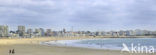 Les Sables d’ Olonne