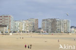 Les Sables d’ Olonne