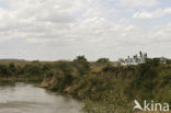 Masai Mara National Park