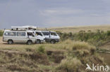 Masai Mara National Park