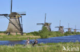 Windmills