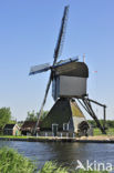 Windmills