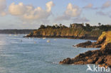 Pointe du Grouin