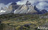 Torres del Paine National Park