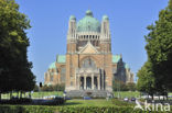 Basilica of the Sacred Heart