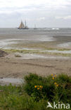 Het Groene Strand