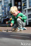 Huismus (Passer domesticus) 