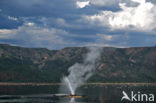 Lake Bogoria National Reserve