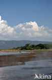 Lake Bogoria National Reserve