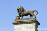 Butte du Lion