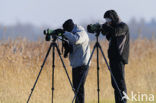 Nationaal Park Lauwersmeer