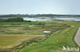 National Park Oosterschelde