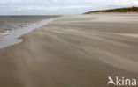 Noordzee