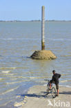 Passage du Gois