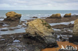 Plage des Cinq Pineaux