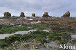 Plage des Cinq Pineaux