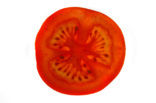 Tomato (Solanum lycopersicum)