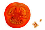 Tomato (Solanum lycopersicum)