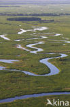 Biebrza National Park