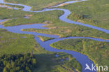 Biebrza National Park