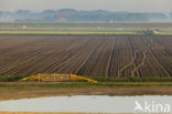 Lage Land van Texel