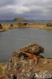 Myvatn