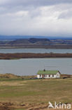 Myvatn