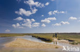 Nationaal Park Duinen van Texel 