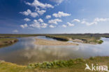 National Park Duinen van Texel 