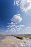 Nationaal Park Duinen van Texel 