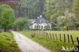 Nationaal Park Veluwezoom