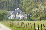 Nationaal Park Veluwezoom